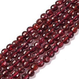 Natural Garnet Beads Strands, Faceted, Flat Round