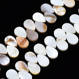 Natural Freshwater Shell Beads Strands, Teardrop