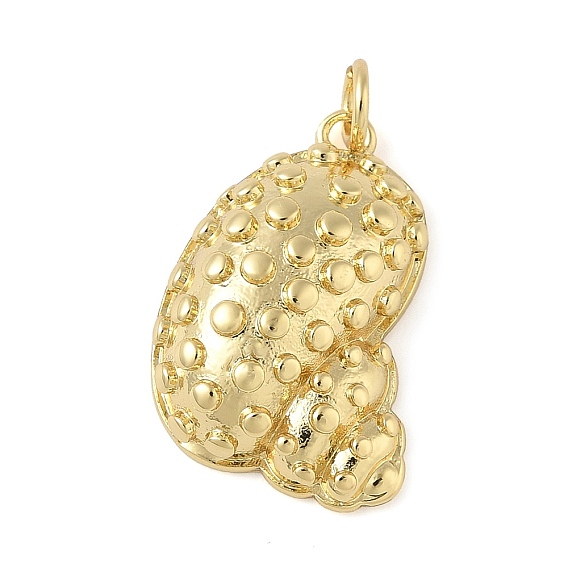 Латунные подвески, подвески в форме раковины, с целью перехода в кольце, долговечный, без свинца и без кадмия