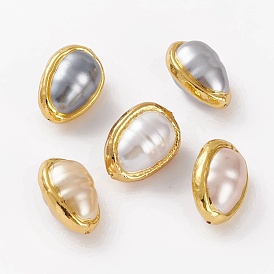 Natural Shell Beads, with Golden Brass Edge, Teardrop