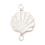 Natural Freshwater Shell Connector Charms, Shell Shaped Links with Copper Loops