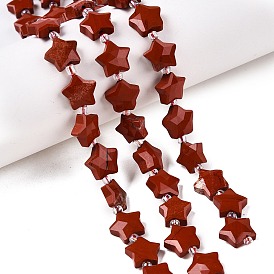 Natural Red Jasper Beads Strands, with Seed Beads, Faceted Star