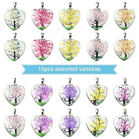 10 шт. Прозрачные стеклянные подвески, сердце, с натуральным сухоцветом внутри