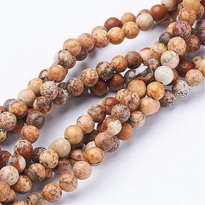 Natural Gemstone Beads Strands, Picture Jasper, Round