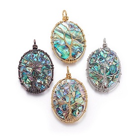 Abalone Shell/Paua ShellWire Wrapped Big Pendants, with Brass Findings, Oval with Tree