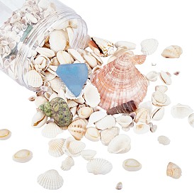 Cuentas de concha natural y cuentas de chips de vidrio marino, perlas sin perforar / sin orificios