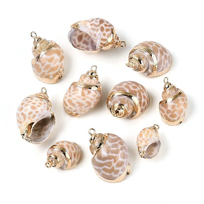 Гальванические подвески из натуральной спирали в ракушке, Подвески в виде раковин с петлями из железа золотистого оттенка.