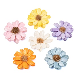 Grandes colgantes de resina epoxi y flores secas, encanto de flor de margarita