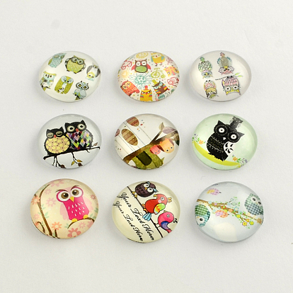 Cartoon Owl Pattern Flatback Half Round/Dome Glass Cabochons, for DIY Projects