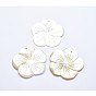 Shell Pendants, Flower