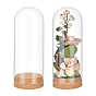 Couvercle de dôme en verre, vitrine décorative, cloche cloche terrarium avec base en liège, pour un cadeau de fleurs préservées bricolage