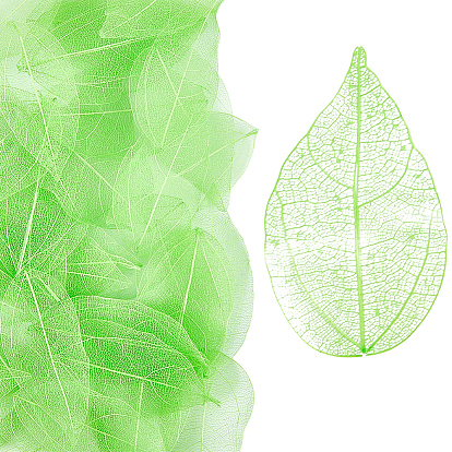 100 шт. сушеные цветы и листья, материалы для рукоделия