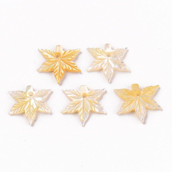 Natural Yellow Shell Charms, Maple Leaf