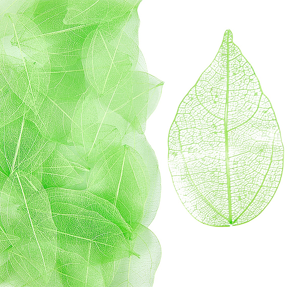 100 шт. сушеные цветы и листья, материалы для рукоделия