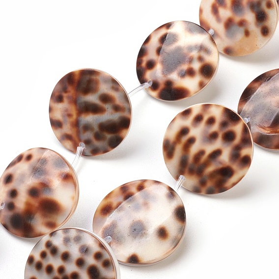 Tiger Cowrie Shell Beads Strands, Flat Round