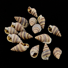 Spiral Shell Charm Pendants, 15~20x8~11x7~9mm, Hole: 1mm, about 1270pcs/500g