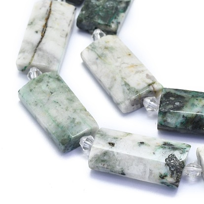 Natural Tree Agate Beads Strands, Rectangle, Faceted