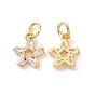 Star Brass Micro Pave Clear Cubic Zirconia Charms, with Jump Rings, Cadmium Free & Nickel Free & Lead Free