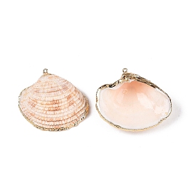 Natural Sea Shell Pendants, Shell Shaped Charms with Golden Tone Iron Loops