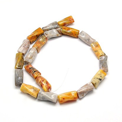 Natural Crazy Agate Twist Column Beads Strands, 21x10x10mm, Hole: 1mm, about 20pcs/strand, 15.74 inch