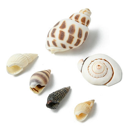 Natural Spiral Shell Beads, Mixed Shapes