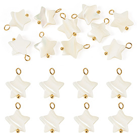 10Pcs Natural Shell Star Pendants, with 304 Stainless Steel Loops, Seashell Color, Ion Plating(IP)