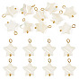 10Pcs Natural Shell Star Pendants, with 304 Stainless Steel Loops, Seashell Color, Ion Plating(IP)