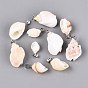 Brass & Natural Spiral Shell Pendants, Conch Charms, PapayaWhip
