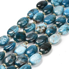 Natural Apatite Beads Strands, with Seed Beads, Oval
