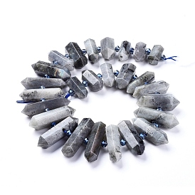 Natural Labradorite Beads Strands, with Glass Beads, Faceted, Double Terminated Point