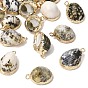 Brass & Natural Shell Pendants, Conch Shape Charms, with Golden Plated Edge