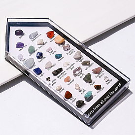 31 styles pépites brutes brutes collections de pierres précieuses naturelles mélangées, pour l'enseignement des sciences de la terre, avec boîte en verre