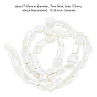 BENECREAT 2 Strands Column Natural White Shell Beads Strands, Mother of Pearl Shell Beads