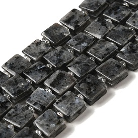 Natural Larvikite Beads Strands, Square, with Seed Beads