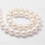Shell Pearl Bead Strands, Loose Beads for Jewelry Making, Grade A, Round