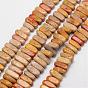 Natural Fossil Coral Bead Strands, Nuggets