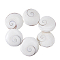6 шт. кабошоны из натуральной ракушки Шивы, плоско-круглые