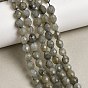 Природные лабрадорита бисер нитей, граненые, рис
