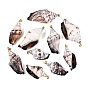 Brass & Natural Spiral Shell Big Pendants, Conch Charms, Light Gold