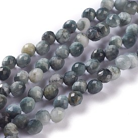 Natural Eagle Eye Stone  Beads Strands, Top Drilled, Faceted, Teardrop