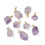 Raw Rough Natural Amethyst Pendants, Nuggets Charms with 304 Stainless Steel Open Jump Rings, Golden