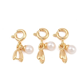 Латуни льда поручительств выбор щепотка, с застежками из АБС-пластика и пружинными застежками, долговечный, стойки покрытие