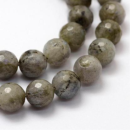 Faceted Natural Labradorite Beads Strands, Round