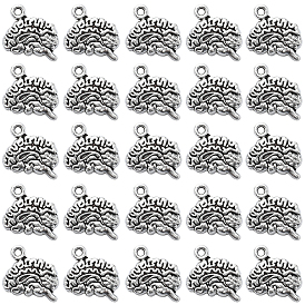 100Шармы из сплава в тибетском стиле, без свинца и без кадмия, головной мозг