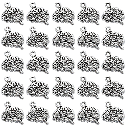 100Шармы из сплава в тибетском стиле, без свинца и без кадмия, головной мозг