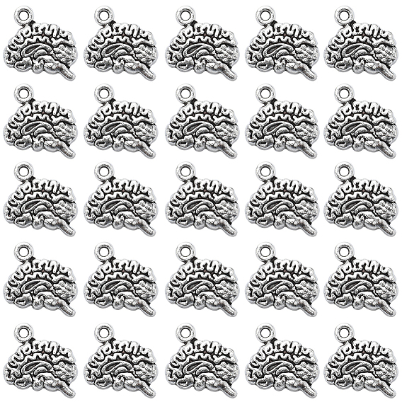 100Шармы из сплава в тибетском стиле, без свинца и без кадмия, головной мозг