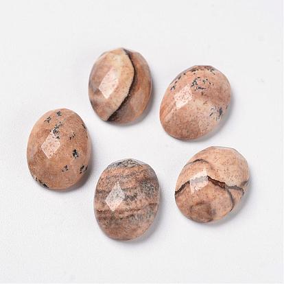 Imagen natural cabujones jaspe, espalda plana, oval