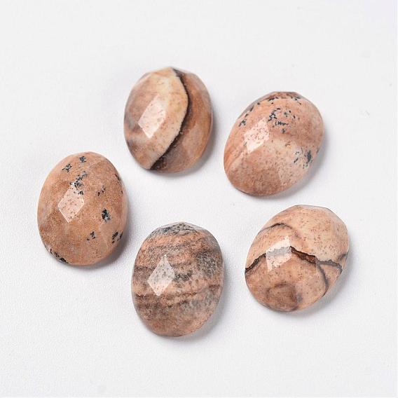 Natural Picture Jasper Cabochons, Flat Back,  Oval