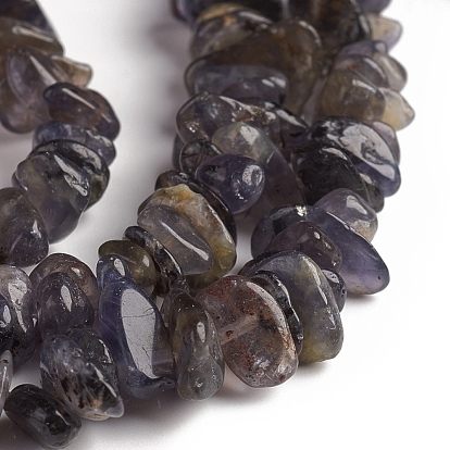 Natural Iolite Beads Strands, Chip