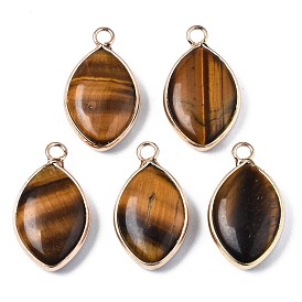 Natural Gemstone Pendants, with Golden Plated Brass Edge and Loop, Horse Eye